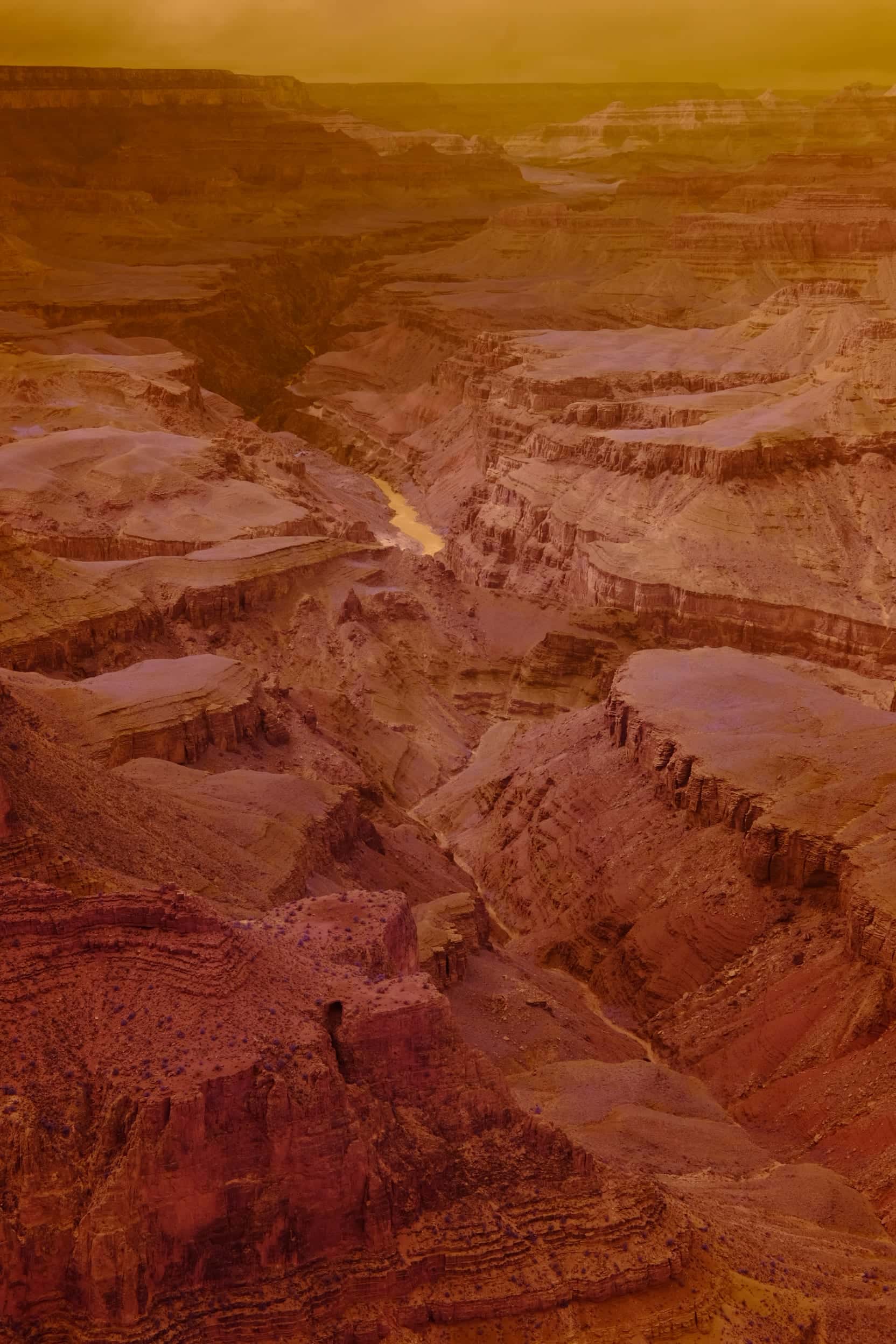 Near-infrared photograph from the Southwest series