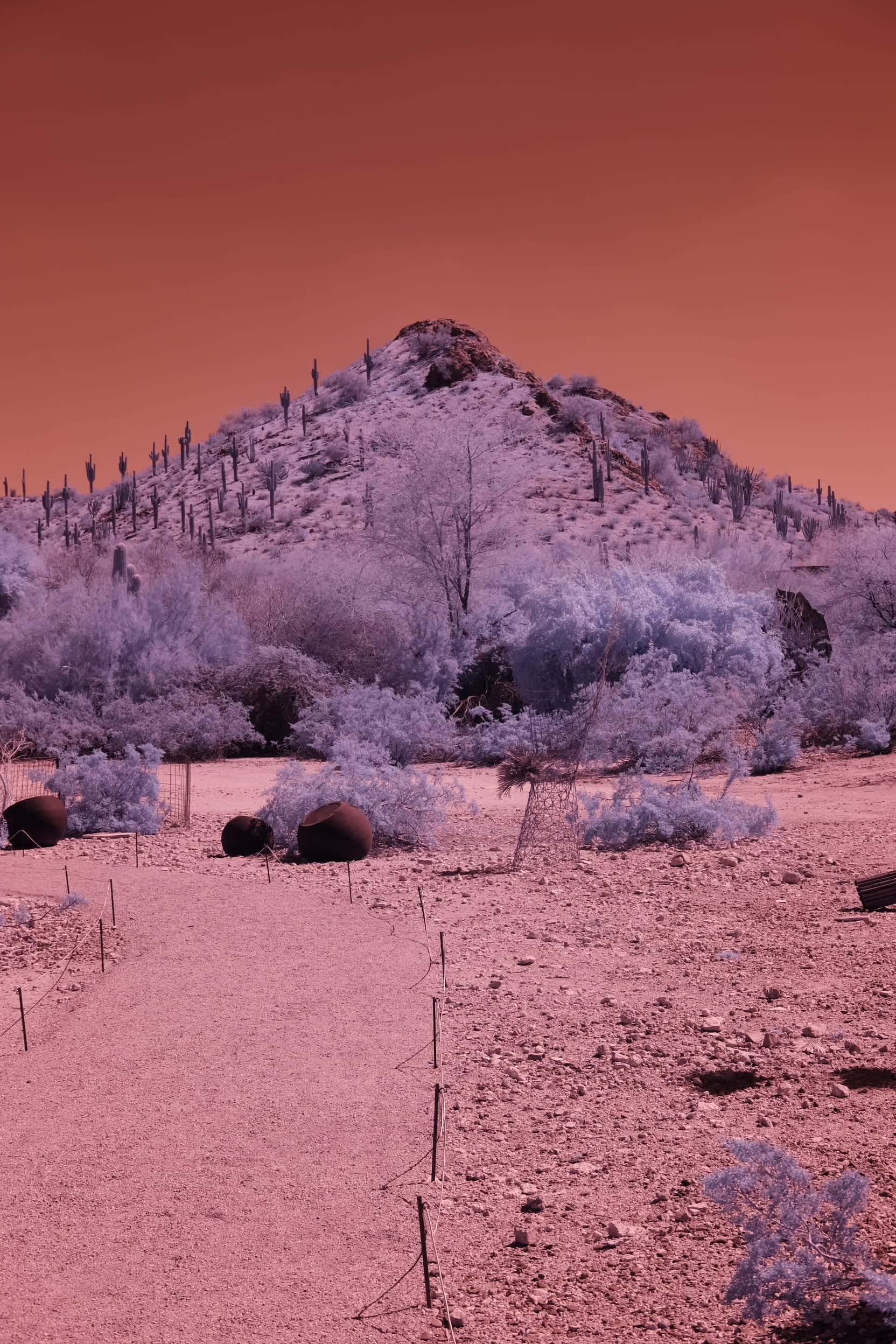Near-infrared photograph from the Southwest series