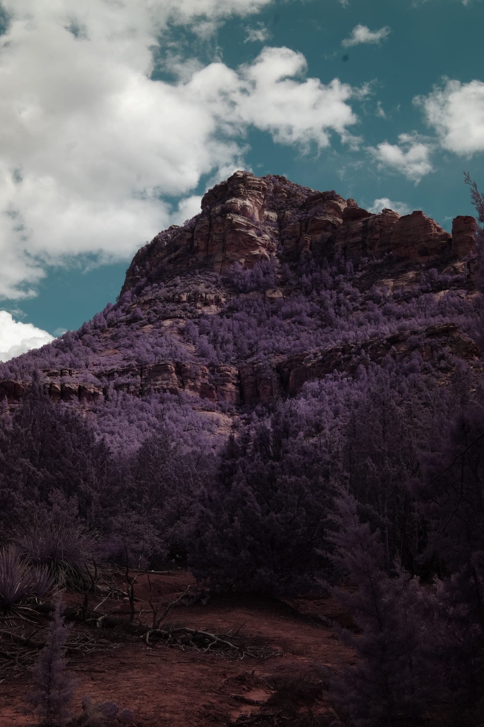 Near-infrared photograph from the Southwest series — description pending curation