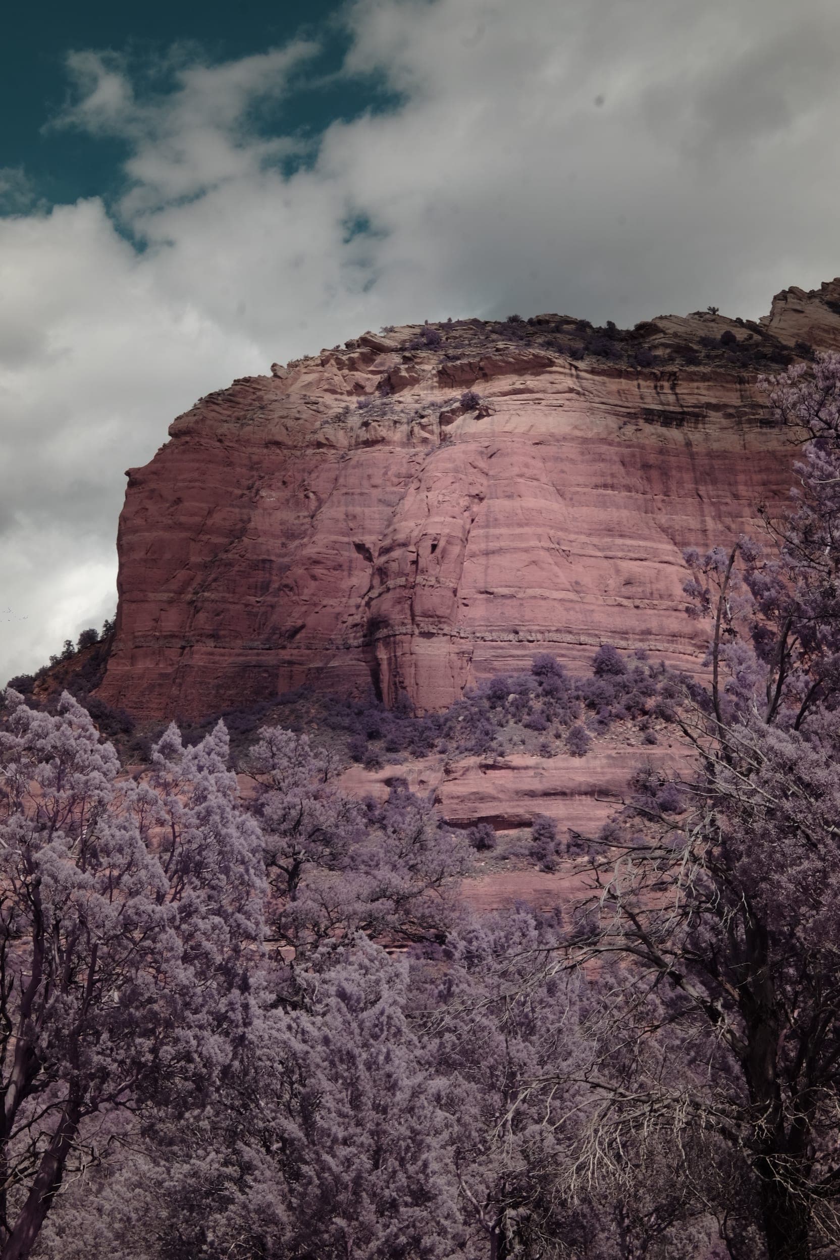 Near-infrared photograph from the Southwest series — description pending curation