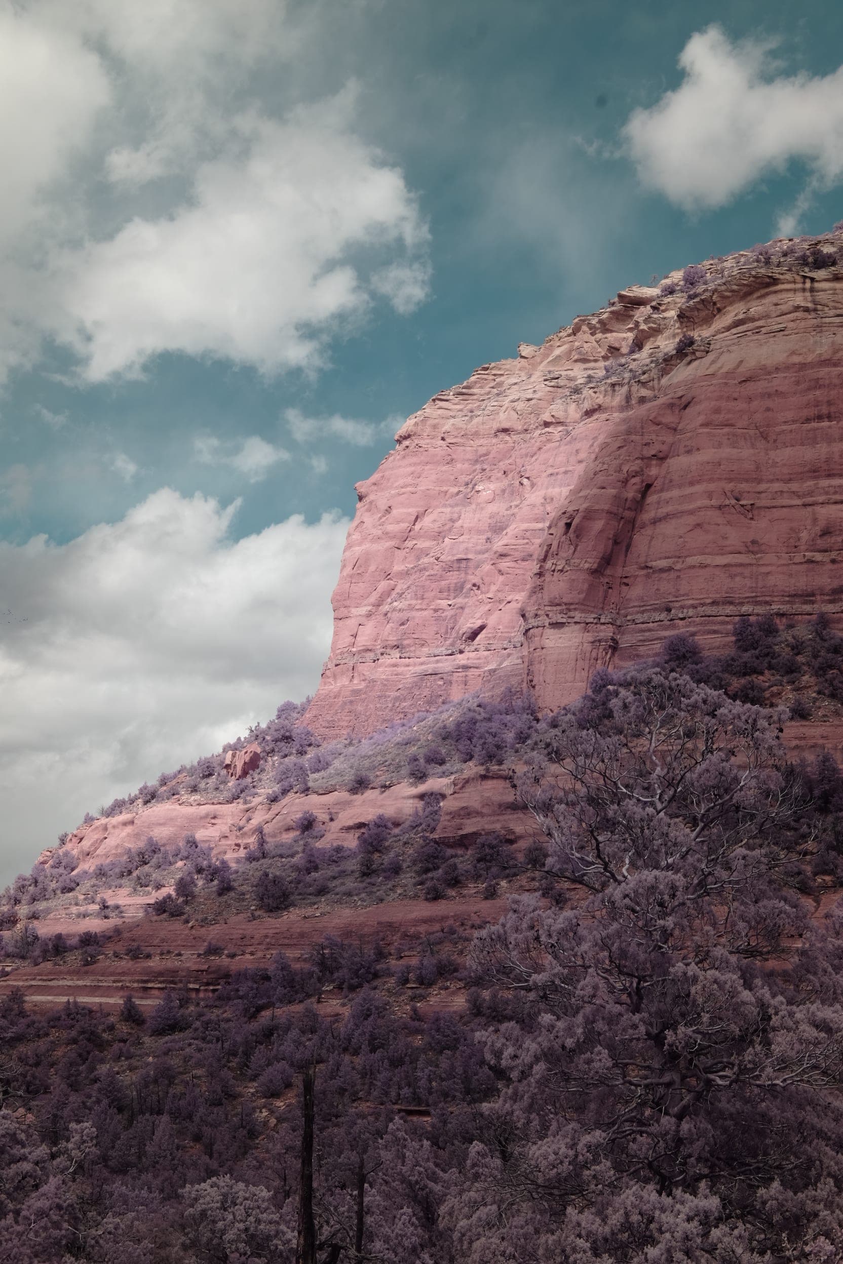 Near-infrared photograph from the Southwest series — description pending curation