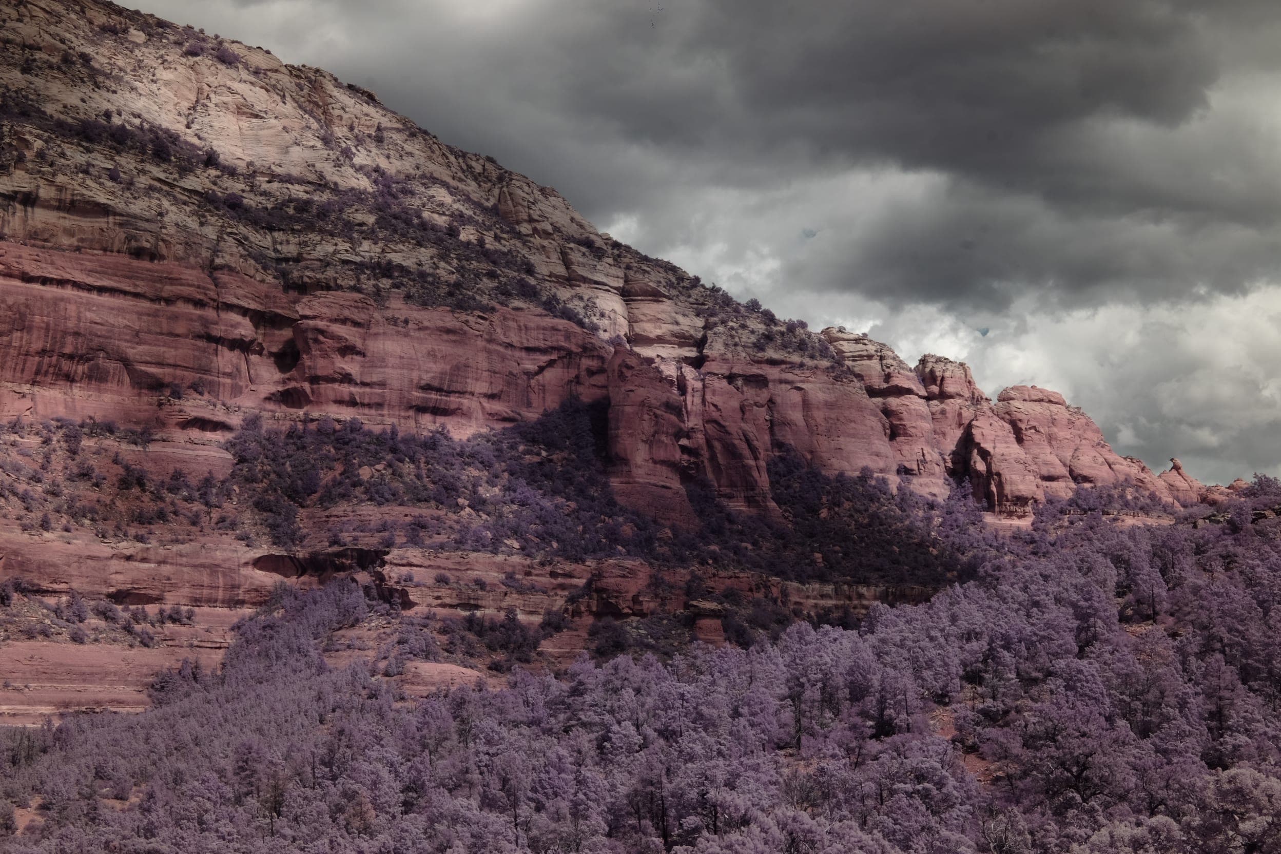 Near-infrared photograph from the Southwest series — description pending curation