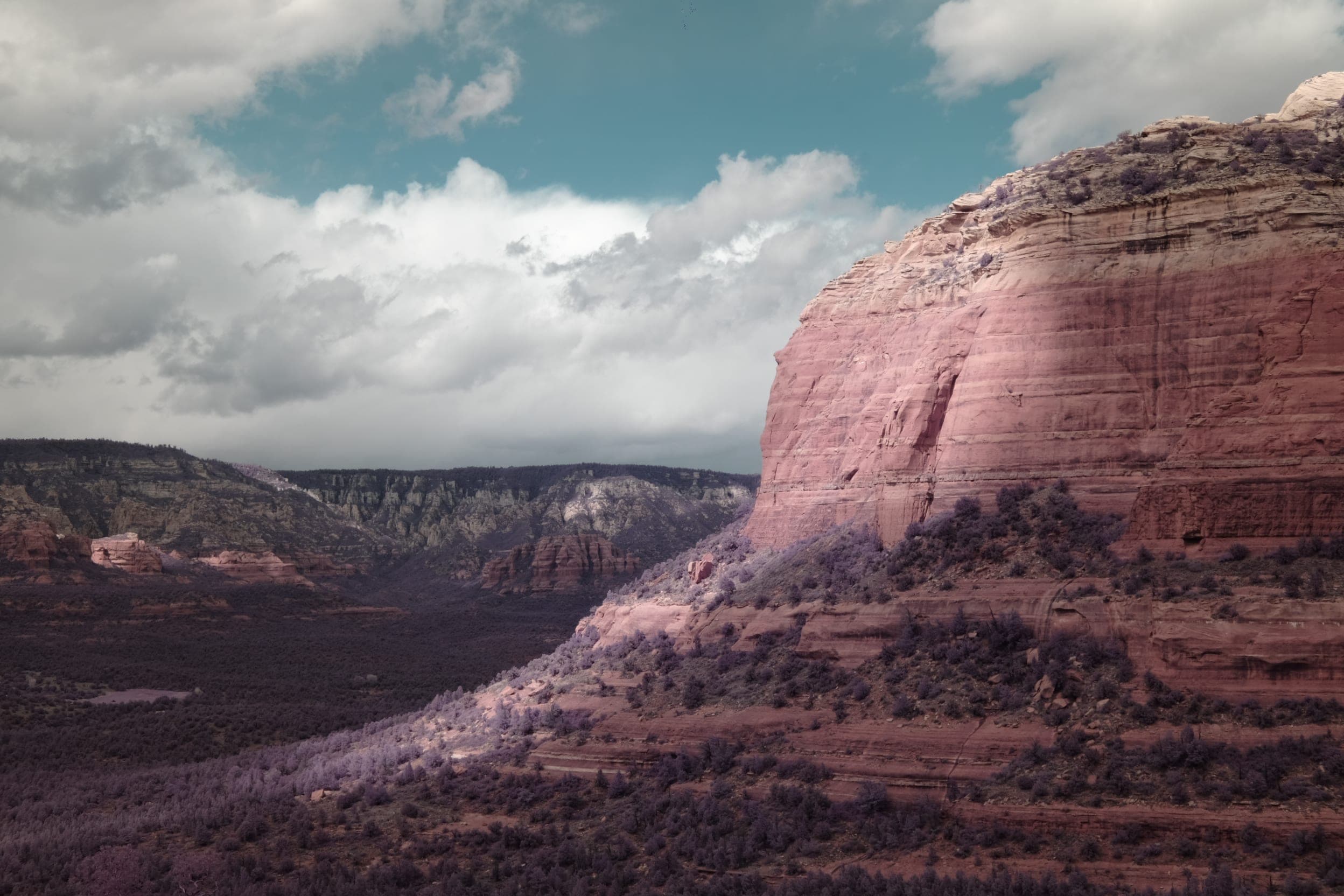 Near-infrared photograph from the Southwest series — description pending curation