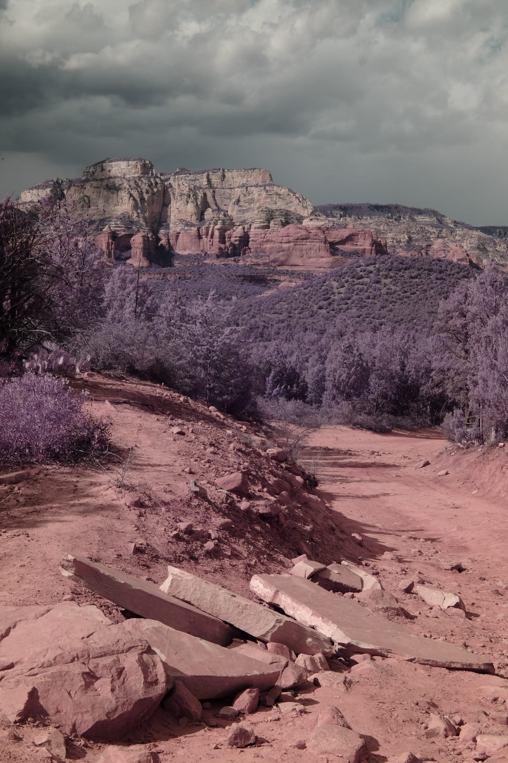 Near-infrared photograph from the Southwest series — description pending curation