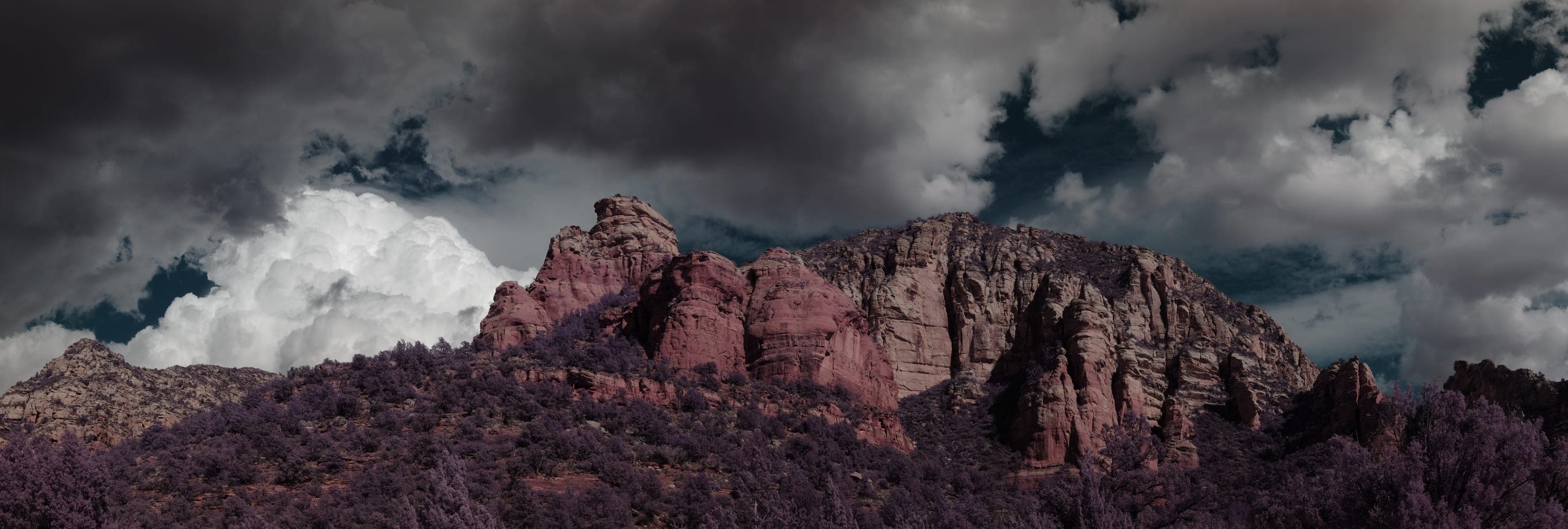 Near-infrared photograph from the Southwest series — description pending curation