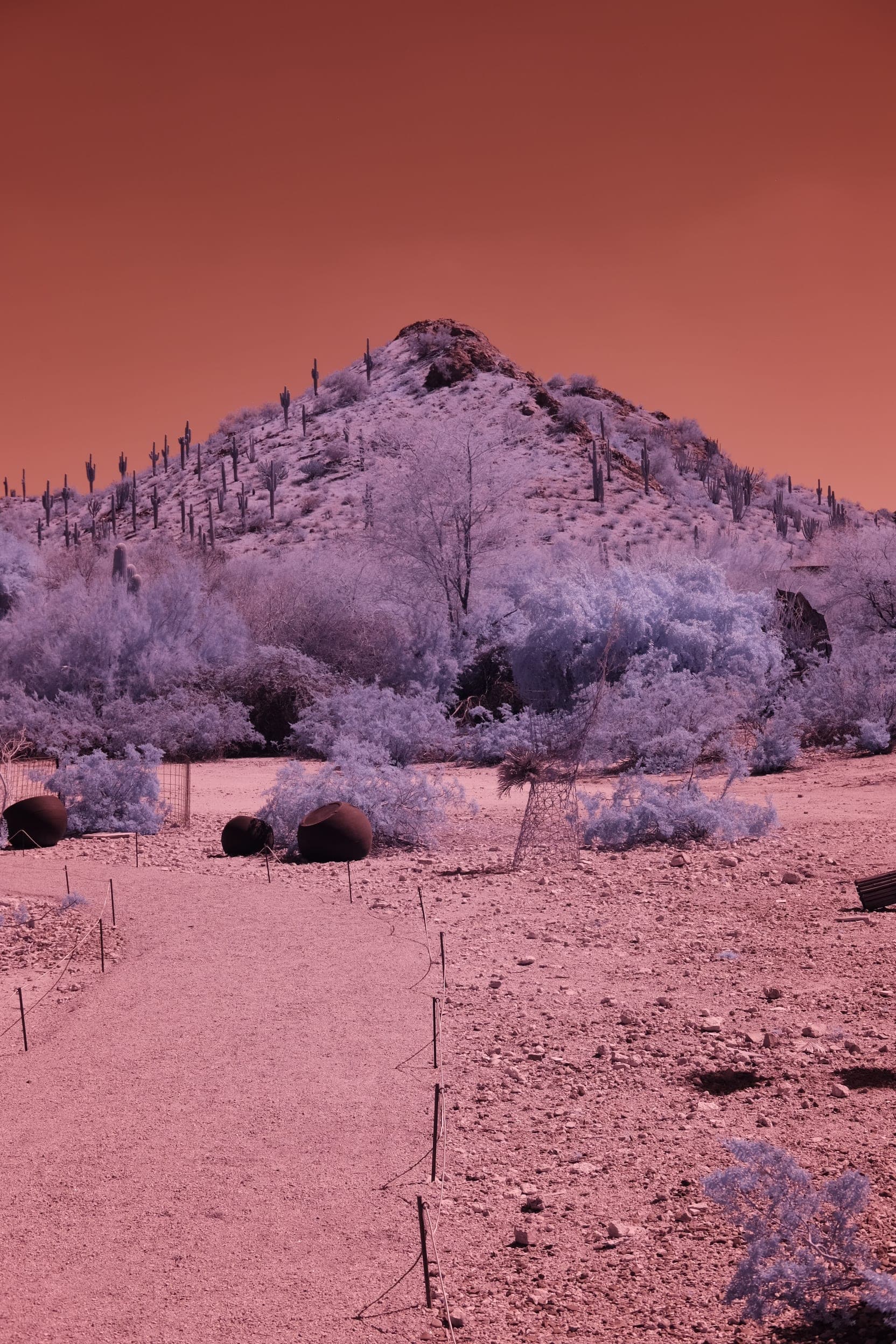 Near-infrared photograph from the Southwest series — description pending curation
